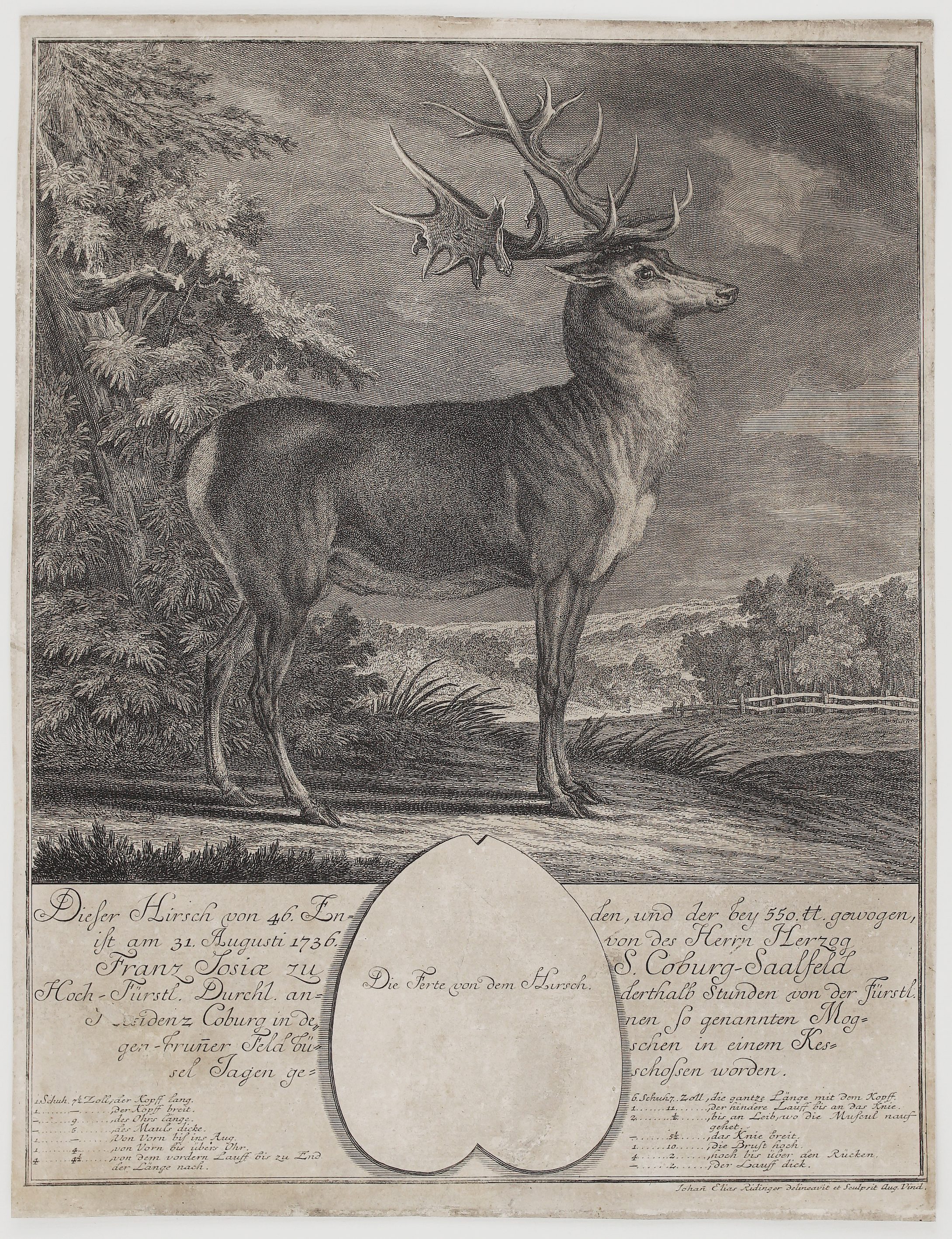 c. 1740 - J. E. Ridinger - Dieser Hirsch von 46 Enden